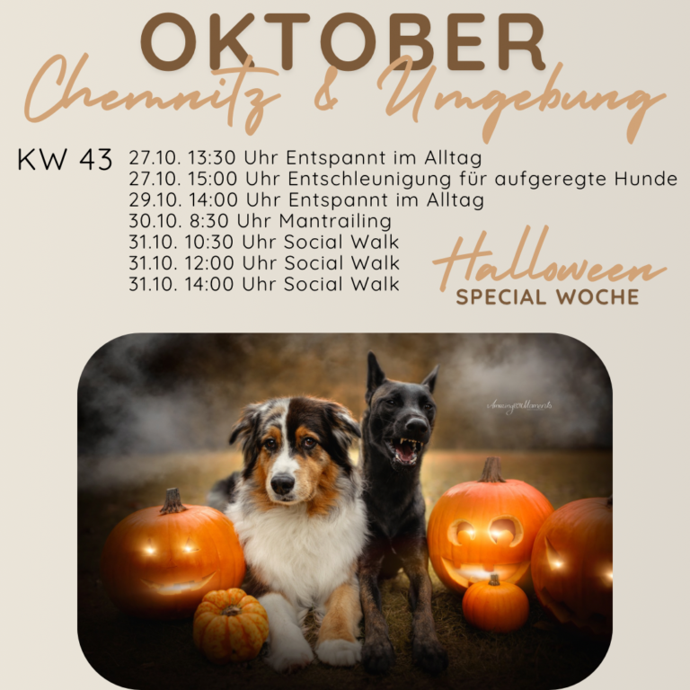 FuRelation, Hundeschule Chemnitz, Hundetraining Chemnitz, Fabienne Winkler, Hundeführerschein, Online Hunde Training