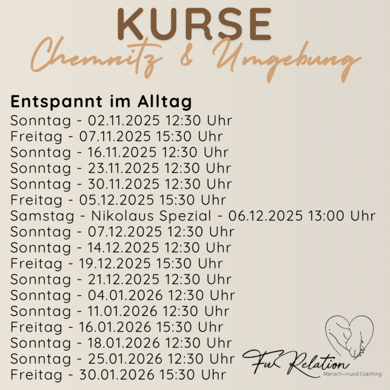 FuRelation, Hundeschule Chemnitz, Hundetraining Chemnitz, Fabienne Winkler, Hundeführerschein, Online Hunde Training