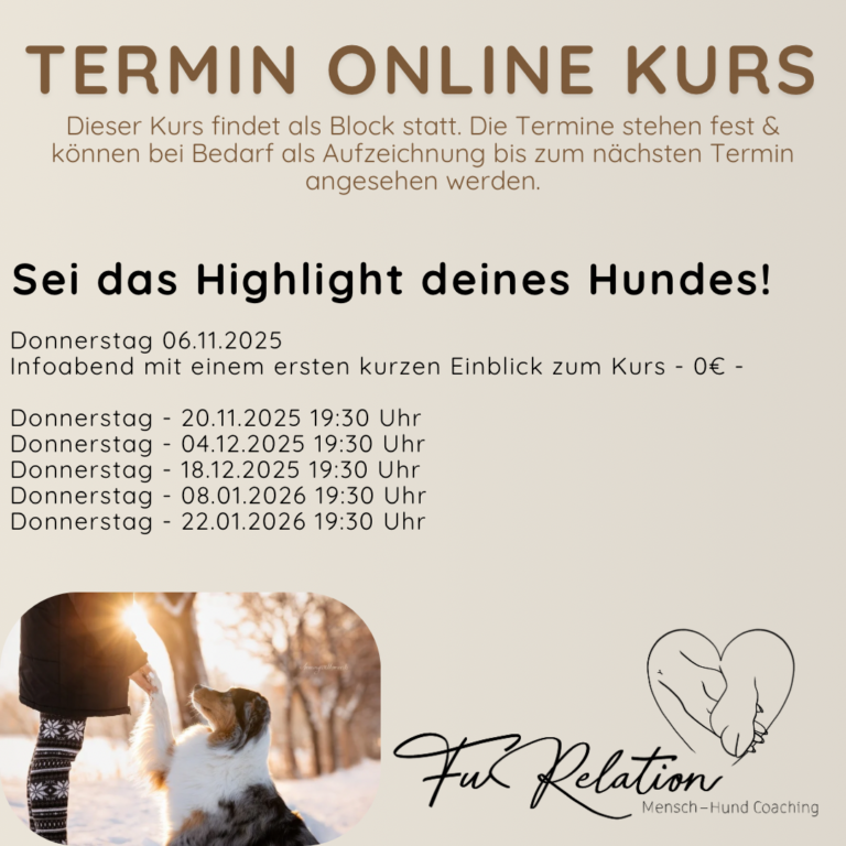 FuRelation, Hundeschule Chemnitz, Hundetraining Chemnitz, Fabienne Winkler, Hundeführerschein, Online Hunde Training