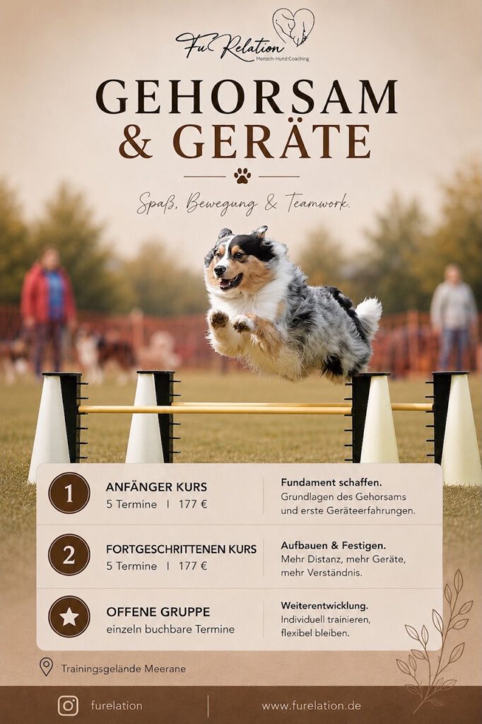 Gehorsam und Geräte, Hüpferle Kurs Meerane, Hundetraining, Hundeschule