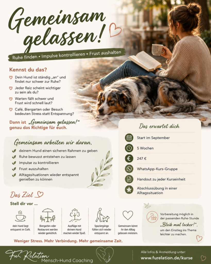 Kurs "gemeinsam gelassen", Frustrationstoleranz, Impulskontrolle, Ruhe lernen, Hund, FuRelation