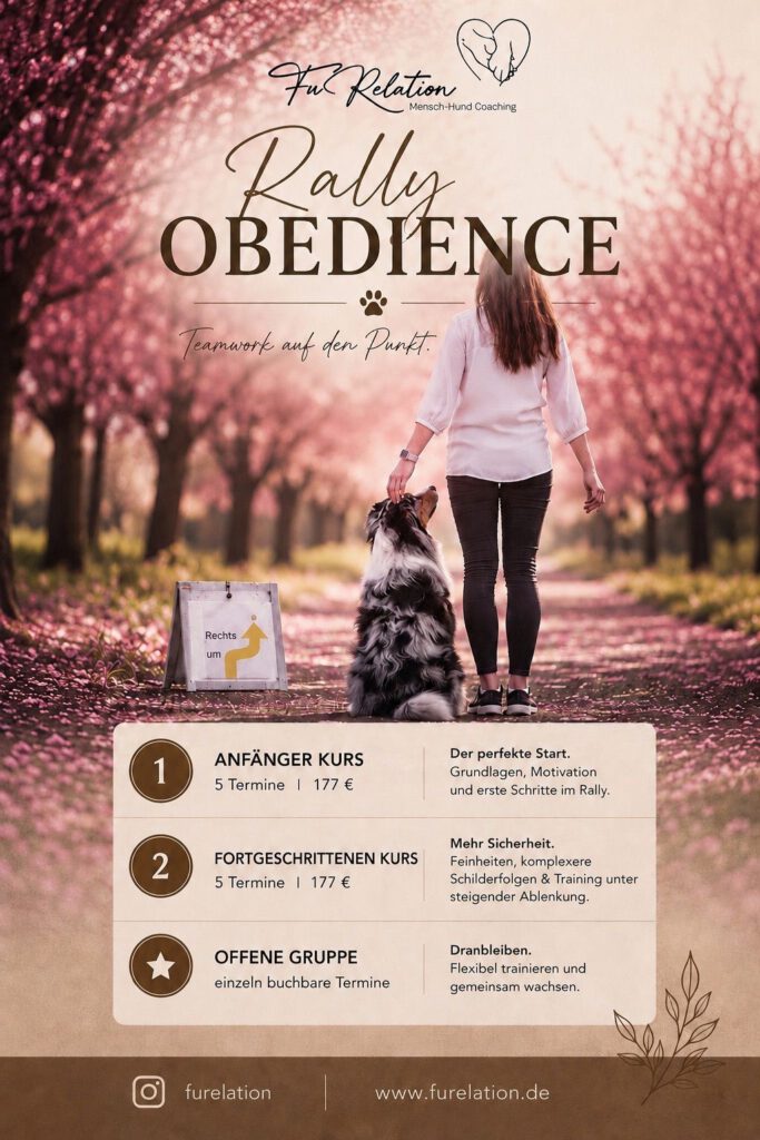 Rally Obedience Kurs, Hundeschule, Meerane